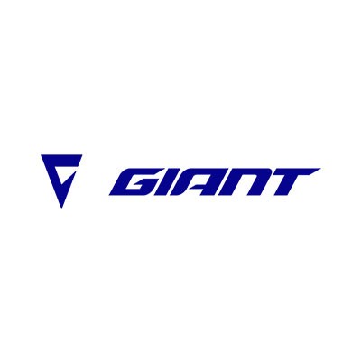 giant logo - authorized.by