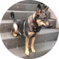 Fabedi Fabsen Avatar